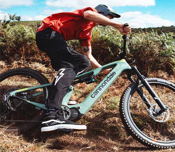 cannondale-resized ccanondale