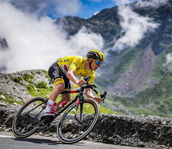 colnago ccanondale
